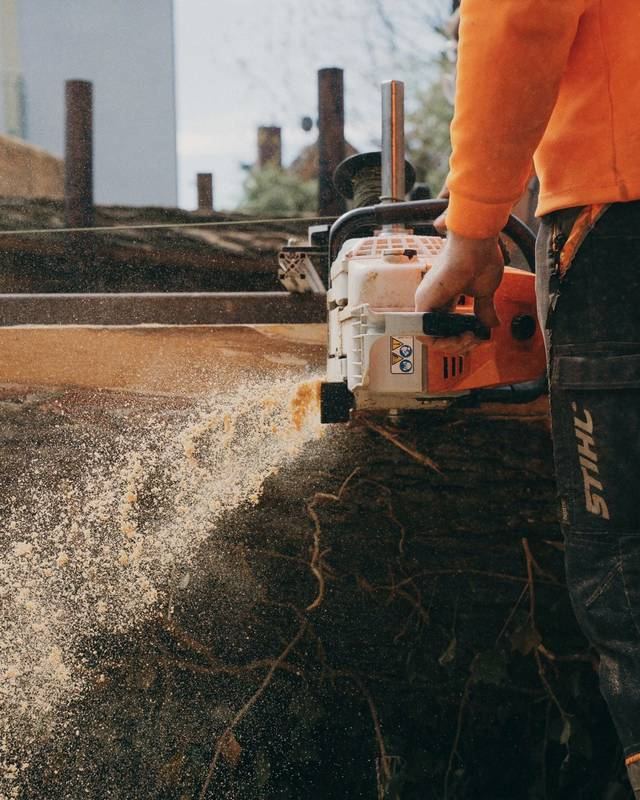 Motorsäge im Holz, Nahaufnahme
